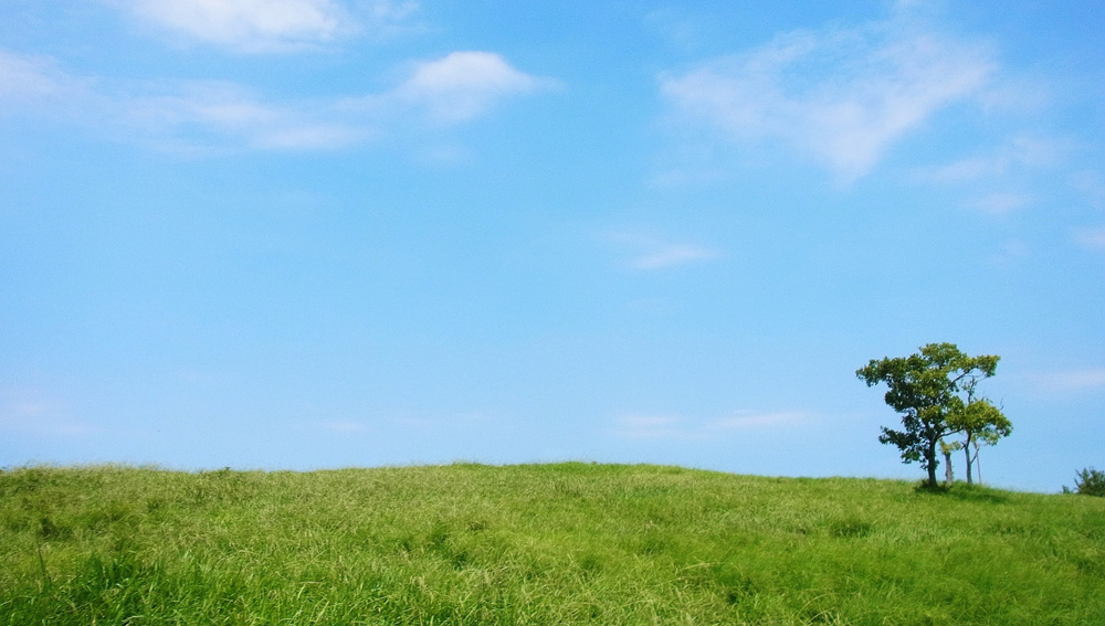  ������ѥ�.net